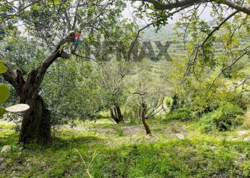 Giardino - Rustic C.da San Giacomo - Zesera, Ragusa - photo 14
