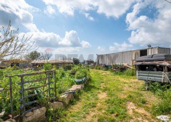 Giardino - Villa C.da Scorrione Zappulla
 
3, Modica - foto 12