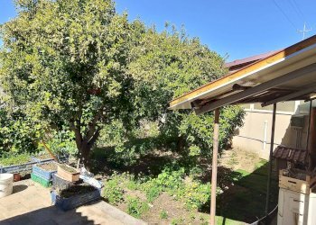 Giardino - Villa via Ecuador, Vittoria - foto 18