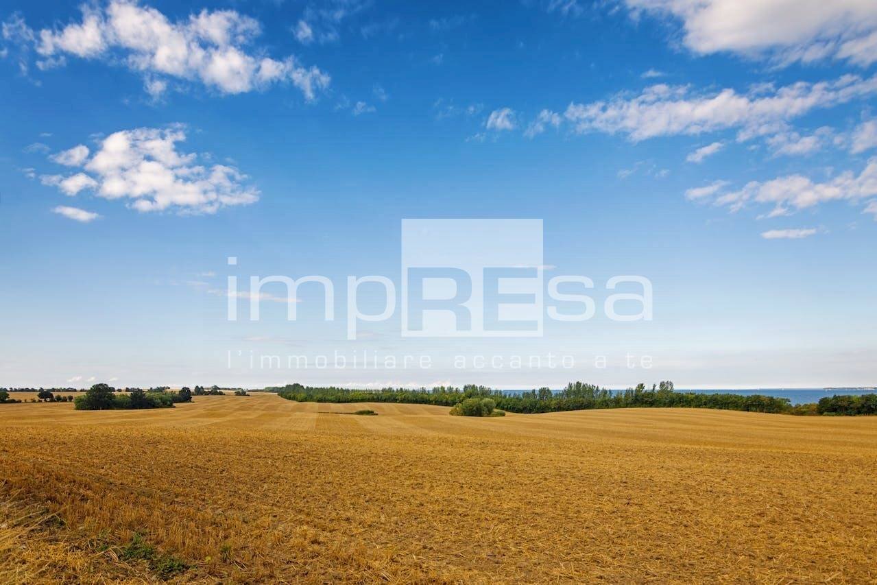 Foto 1 - Terreno agricolo Strada provinciale, Ceggia - foto 1