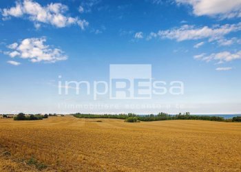 Foto 1 - Terreno agricolo Strada provinciale, Ceggia - foto 1