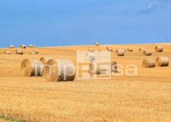 Foto 4 - Terreno agricolo Strada provinciale, Ceggia - foto 4