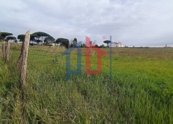 Foto 6 - Terreno edificabile VIA MACHIAVELLI, Anzio - foto 6