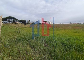 Foto 7 - Terreno edificabile VIA MACHIAVELLI, Anzio - foto 7