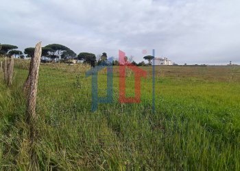 Foto 19 - Terreno edificabile VIA MACHIAVELLI, Anzio - foto 19