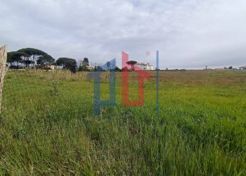 Foto 20 - Terreno edificabile VIA MACHIAVELLI, Anzio - foto 20