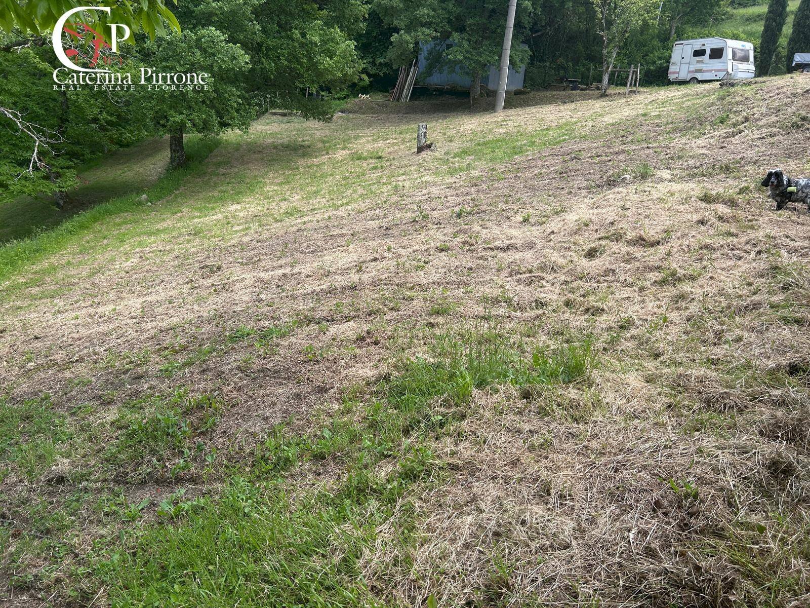 Foto 3 - Rustico località Caprile
 
snc, San Godenzo - foto 3