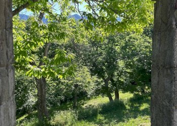 Foto 6 - Rustico località Caprile
 
snc, San Godenzo - foto 6