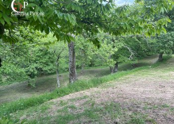 Foto 7 - Rustico località Caprile
 
snc, San Godenzo - foto 7