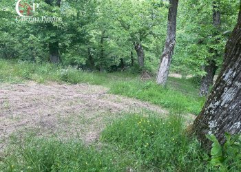 Foto 10 - Rustico località Caprile
 
snc, San Godenzo - foto 10