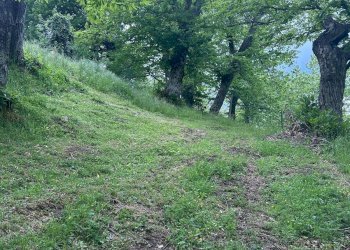 Foto 11 - Rustico località Caprile
 
snc, San Godenzo - foto 11