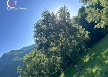 Foto 13 - Rustico località Caprile
 
snc, San Godenzo - foto 13