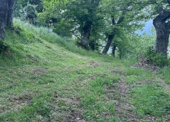 Foto 15 - Rustico località Caprile
 
snc, San Godenzo - foto 15