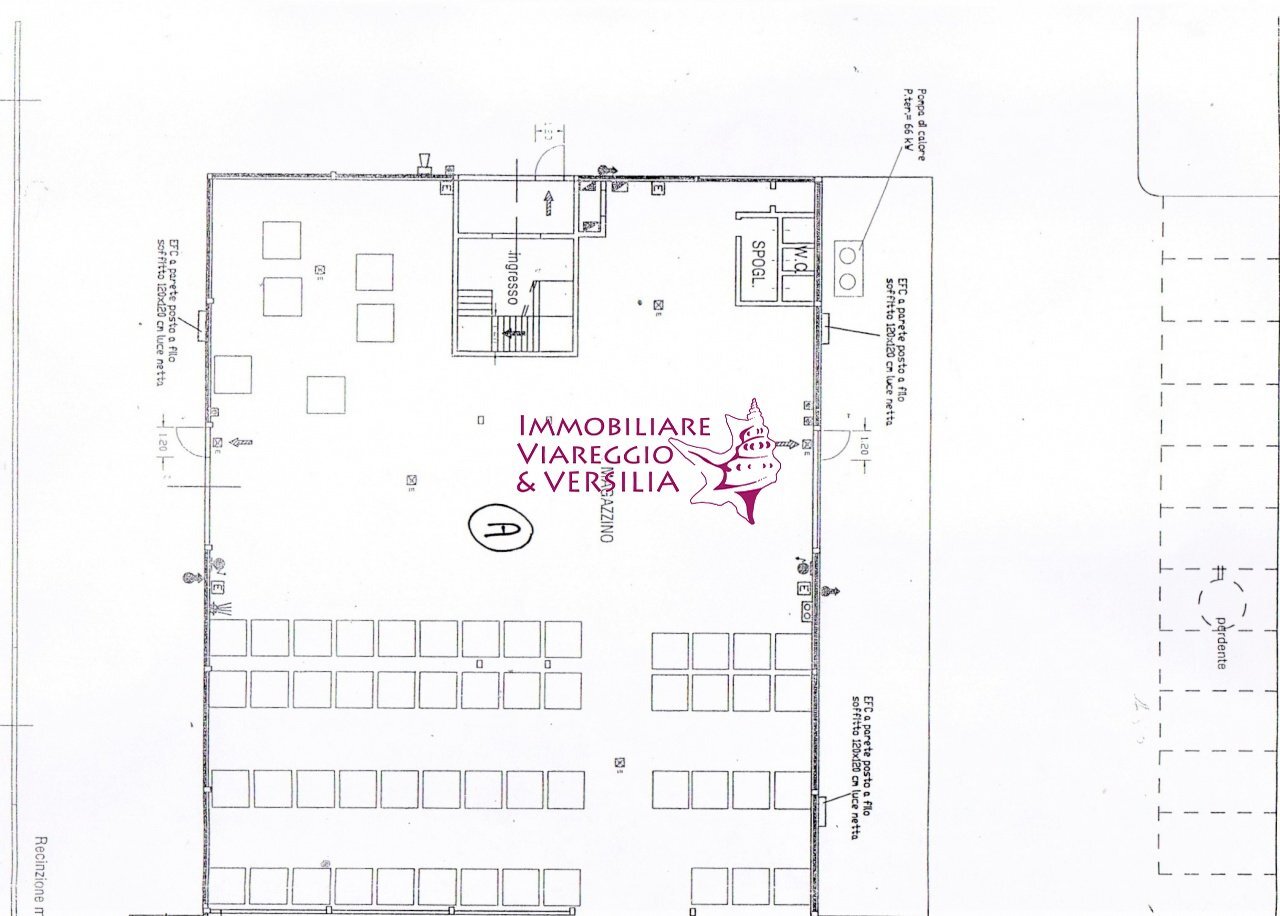 Foto 1 - Magazzino Camaiore - foto 1