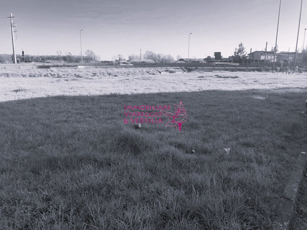 Foto 3 - Magazzino Camaiore - foto 3