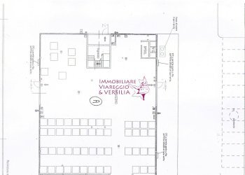 Foto 1 - Magazzino Camaiore - foto 1