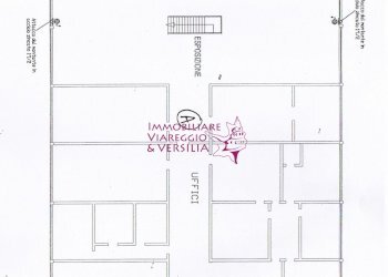 Foto 2 - Magazzino Camaiore - foto 2