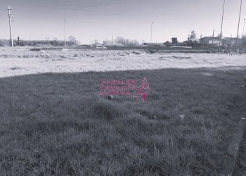 Foto 3 - Magazzino Camaiore - foto 3