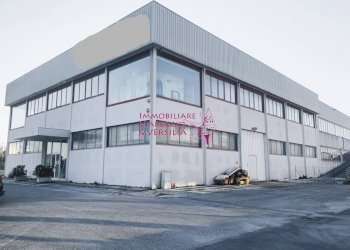 Foto 4 - Magazzino Camaiore - foto 4