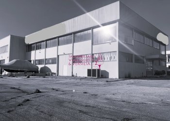 Foto 5 - Magazzino Camaiore - foto 5