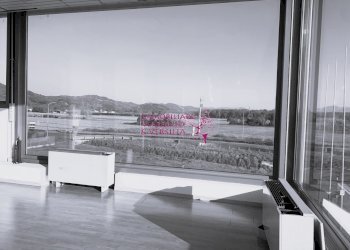 Foto 6 - Magazzino Camaiore - foto 6