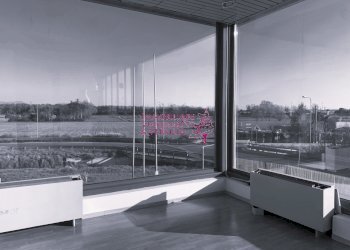 Foto 7 - Magazzino Camaiore - foto 7