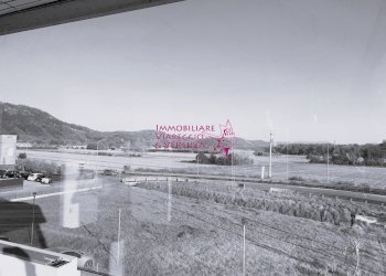 Foto 8 - Magazzino Camaiore - foto 8