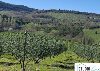 Foto 13 - Villa Montecchio - foto 13