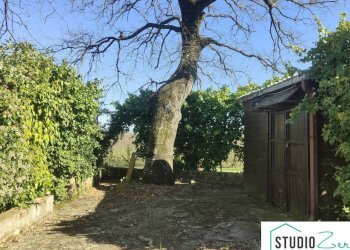 Foto 16 - Villa Montecchio - foto 16