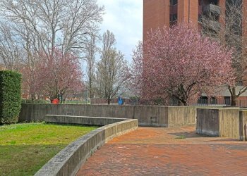 Zona - Quadrilocale via Guelfa, 74/3, Bologna (zona Massarenti) - foto 28