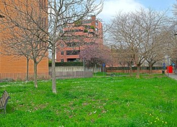 Giardino - Quadrilocale via Guelfa, 74/3, Bologna (zona Massarenti) - foto 29