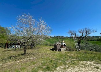 Foto 33 - Rustico Contrada San Pietro
 
39, Massignano - foto 33