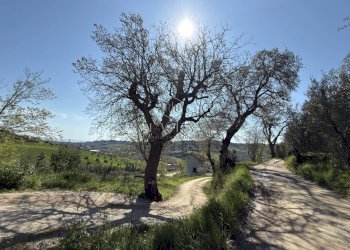 Foto 35 - Rustico Contrada San Pietro
 
39, Massignano - foto 35