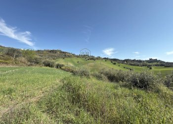 Foto 39 - Rustico Contrada San Pietro
 
39, Massignano - foto 39