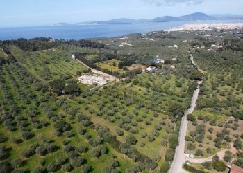 Vista - Villa strada Vicinale Sant'Anna Pollina, Alghero - foto 10