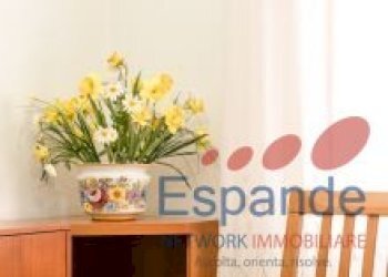 Appartamento Castel di Casio - foto 15