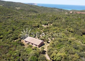 Casale Rena Majore, Aglientu - foto 2