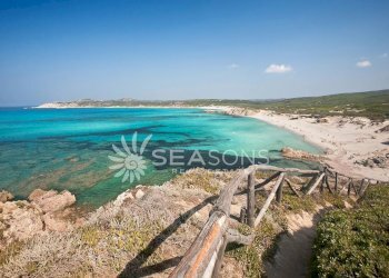 Casale Rena Majore, Aglientu - foto 3