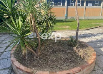 Villa Via Livornese, Pisa - foto 31