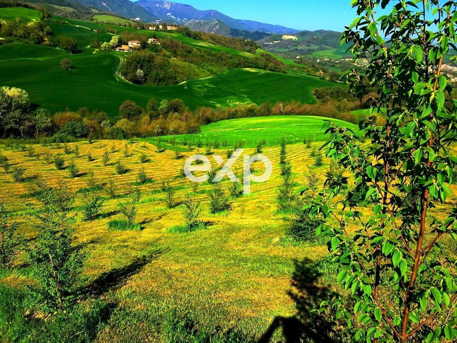 Villa Strada Valubbio, Cagli - foto 2