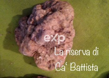 Villa Strada Valubbio, Cagli - photo 10