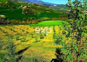 Villa Strada Valubbio, Cagli - photo 17