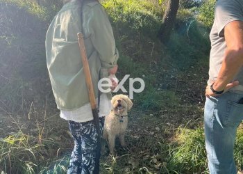 Villa Strada Valubbio, Cagli - photo 61