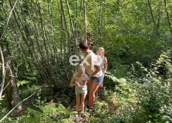 Villa Strada Valubbio, Cagli - photo 62