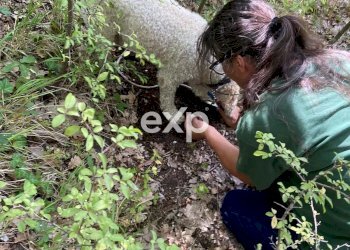 Villa Strada Valubbio, Cagli - photo 65