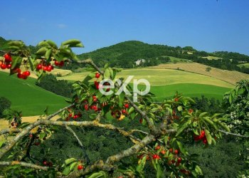 Villa Strada Valubbio, Cagli - photo 6