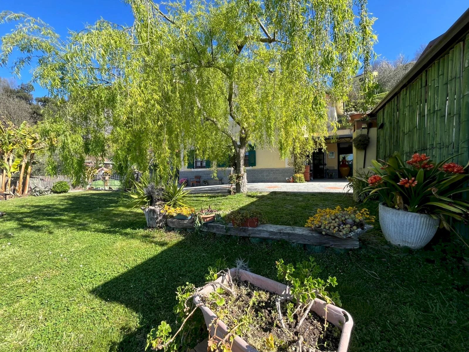 Giardino - Villa Leivi - foto 2