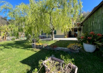 Giardino - Villa Leivi - foto 2