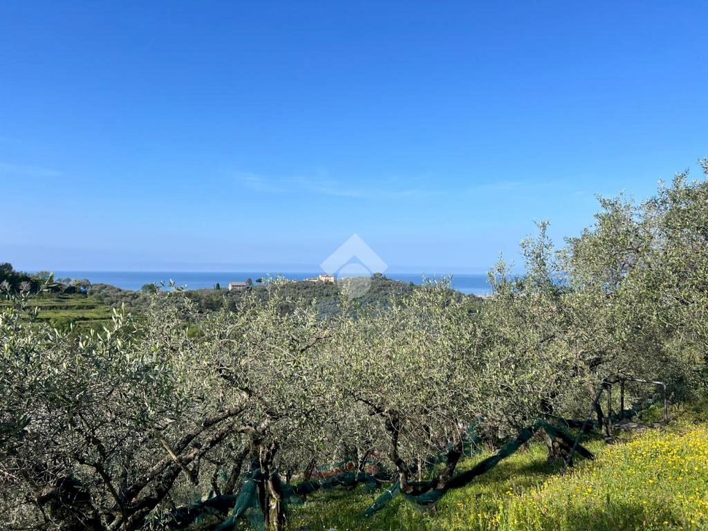 Terreno agricolo Salita San Bernardo, Lavagna - foto 1