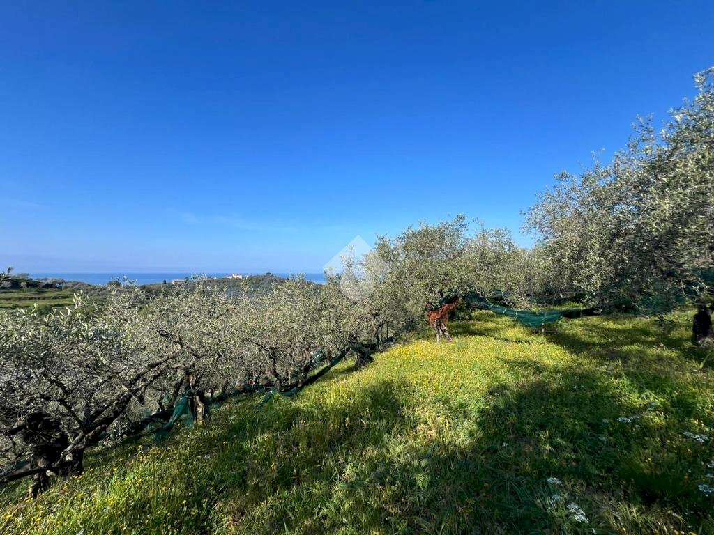 Terreno agricolo Salita San Bernardo, Lavagna - foto 3